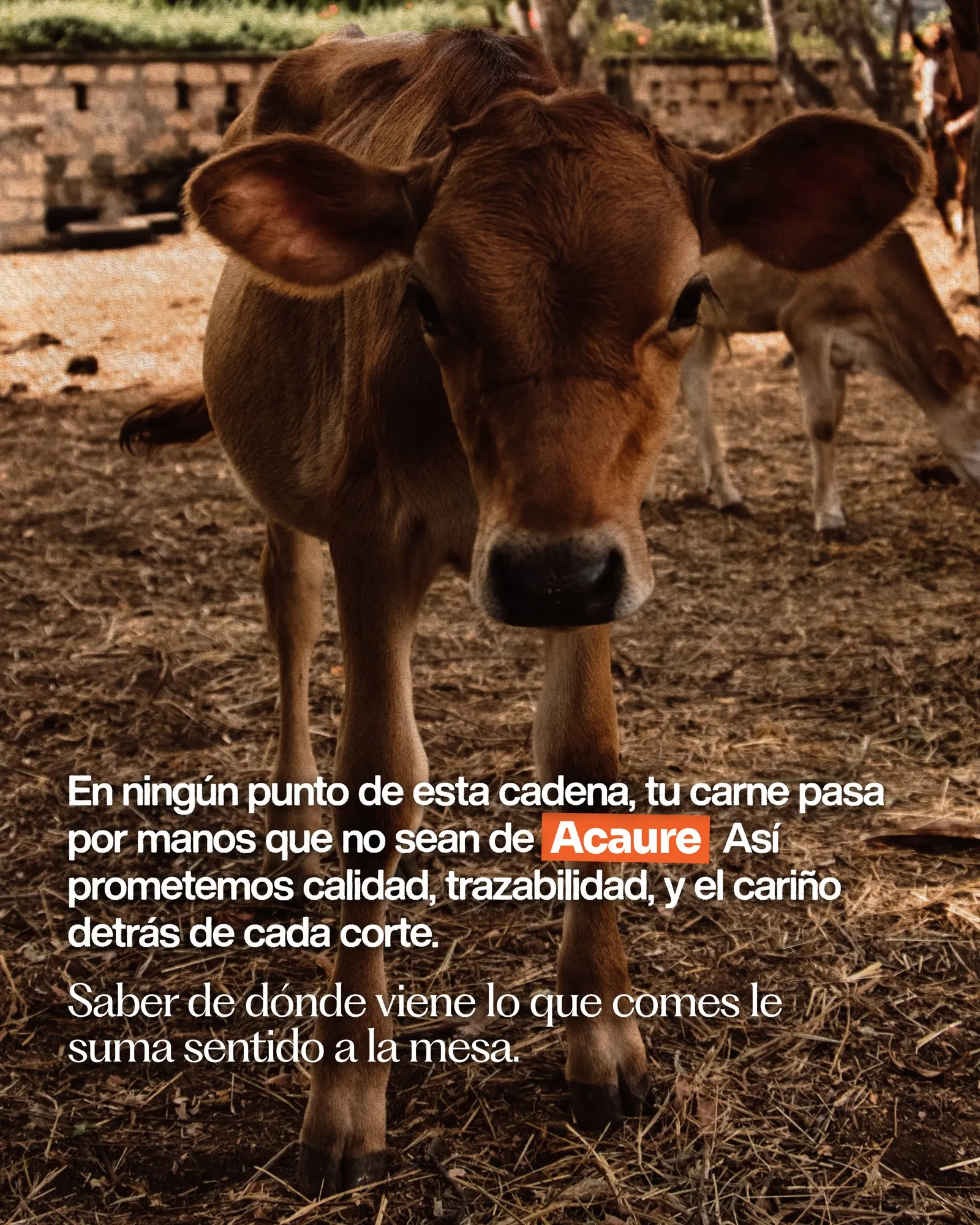 En ningún punto de esta cadena tu carne pasa por otras manos