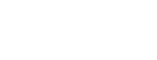 Worldwide Solutions